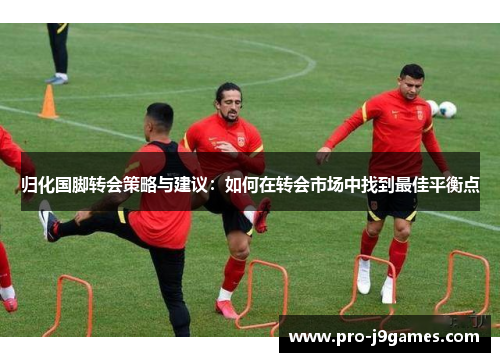 归化国脚转会策略与建议：如何在转会市场中找到最佳平衡点